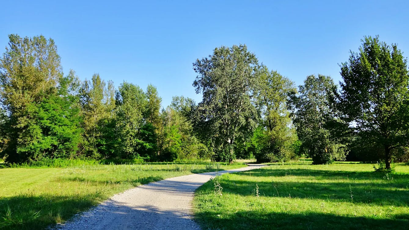 Šturmovci
